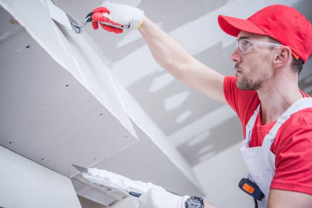 Reliable Charlotte, TX Mold Removal Solutions